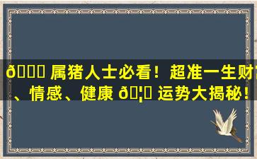 🐝 属猪人士必看！超准一生财富、情感、健康 🦊 运势大揭秘！